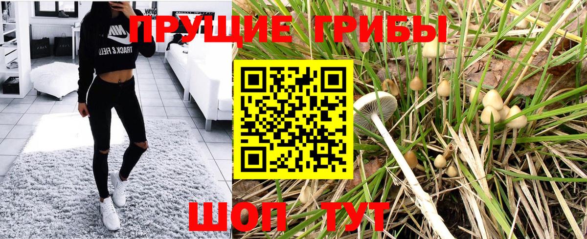 Галлюциногенные грибы мухоморы Торжок