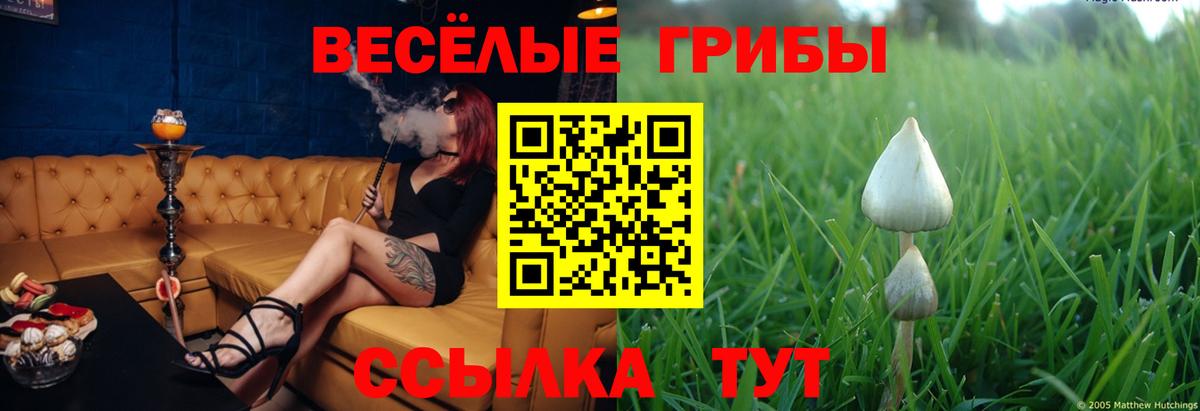 Псилоцибиновые грибы мухоморы  Вход с VPN  Торжок 